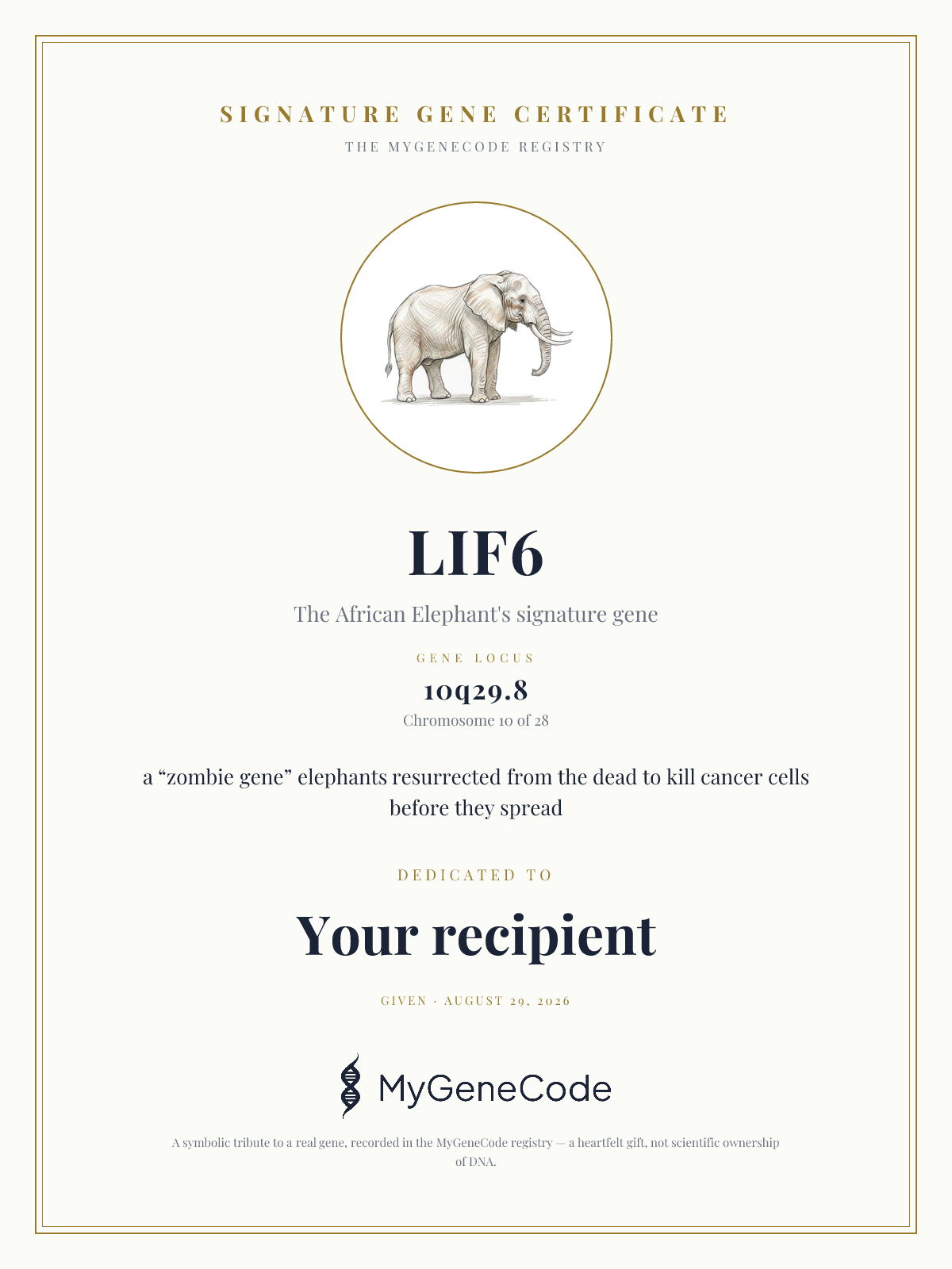 LIF6 gift certificate preview