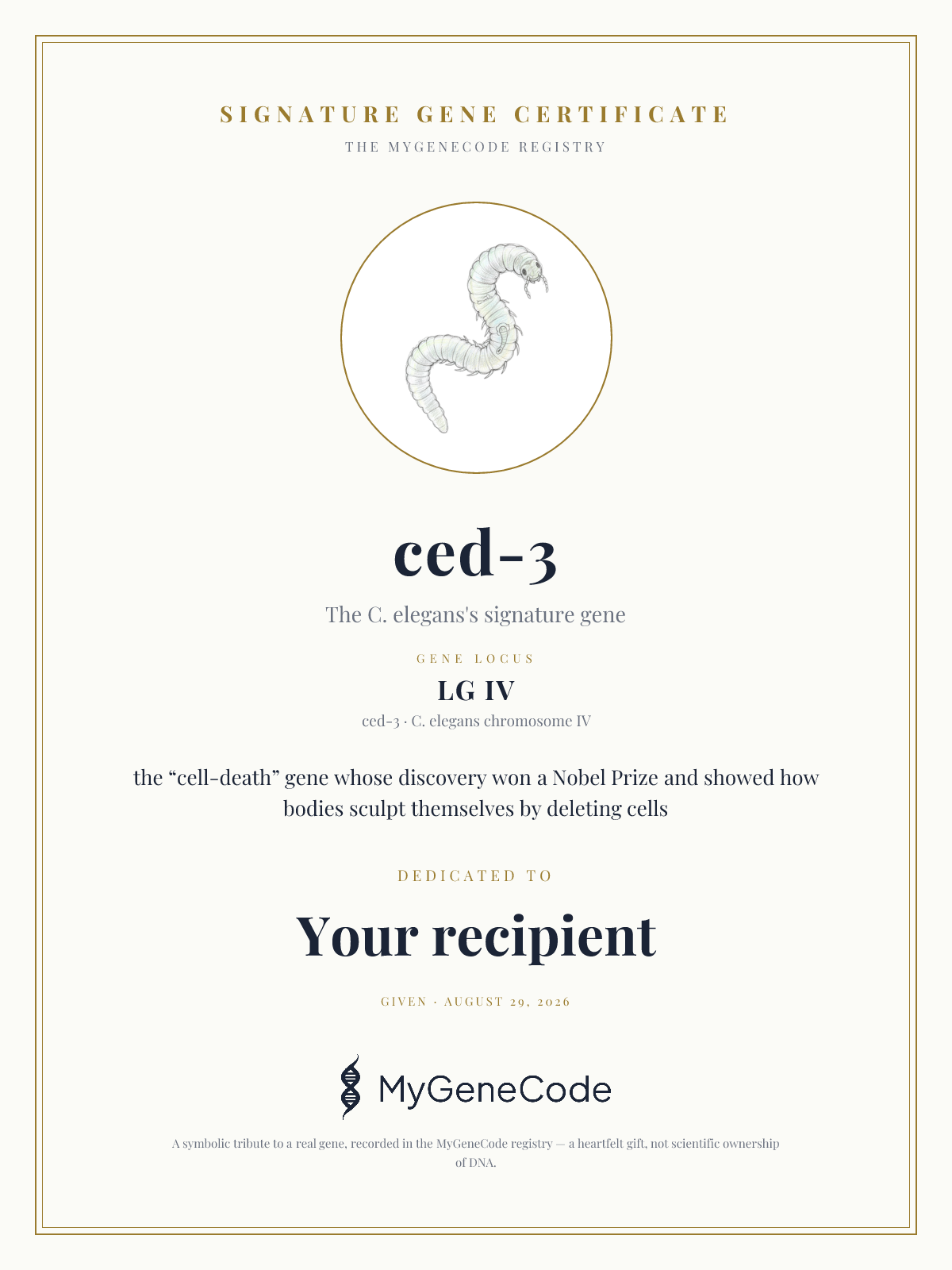 ced-3 gift certificate preview