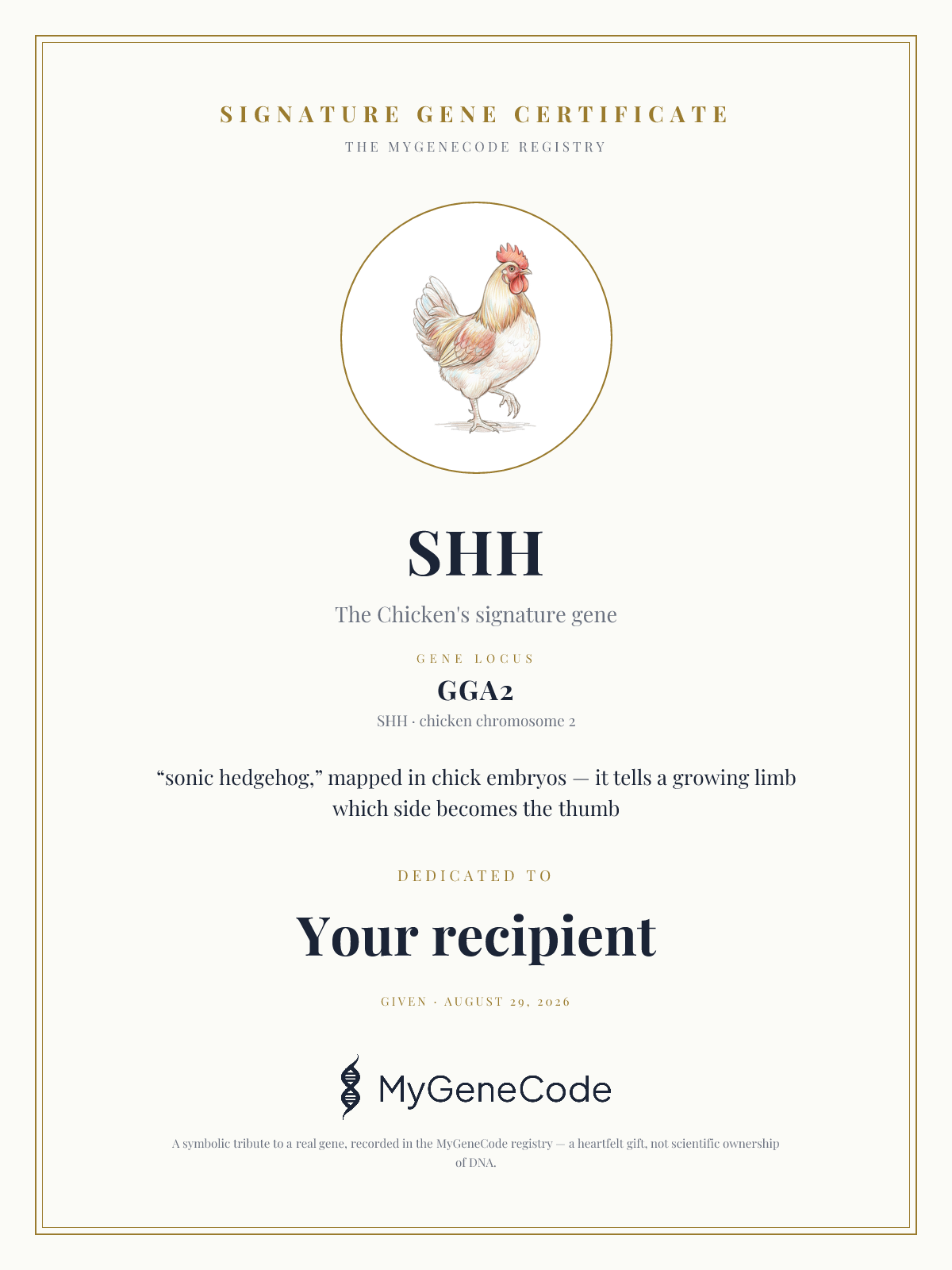 SHH gift certificate preview