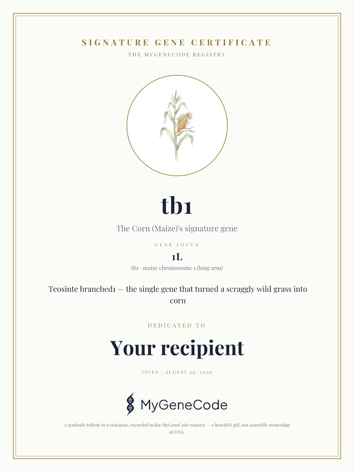 tb1 gift certificate preview