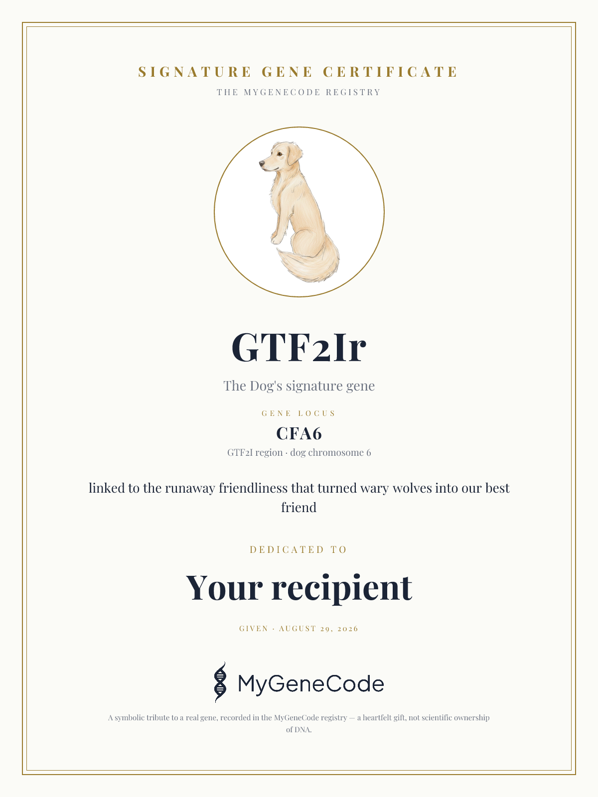 GTF2Ir gift certificate preview