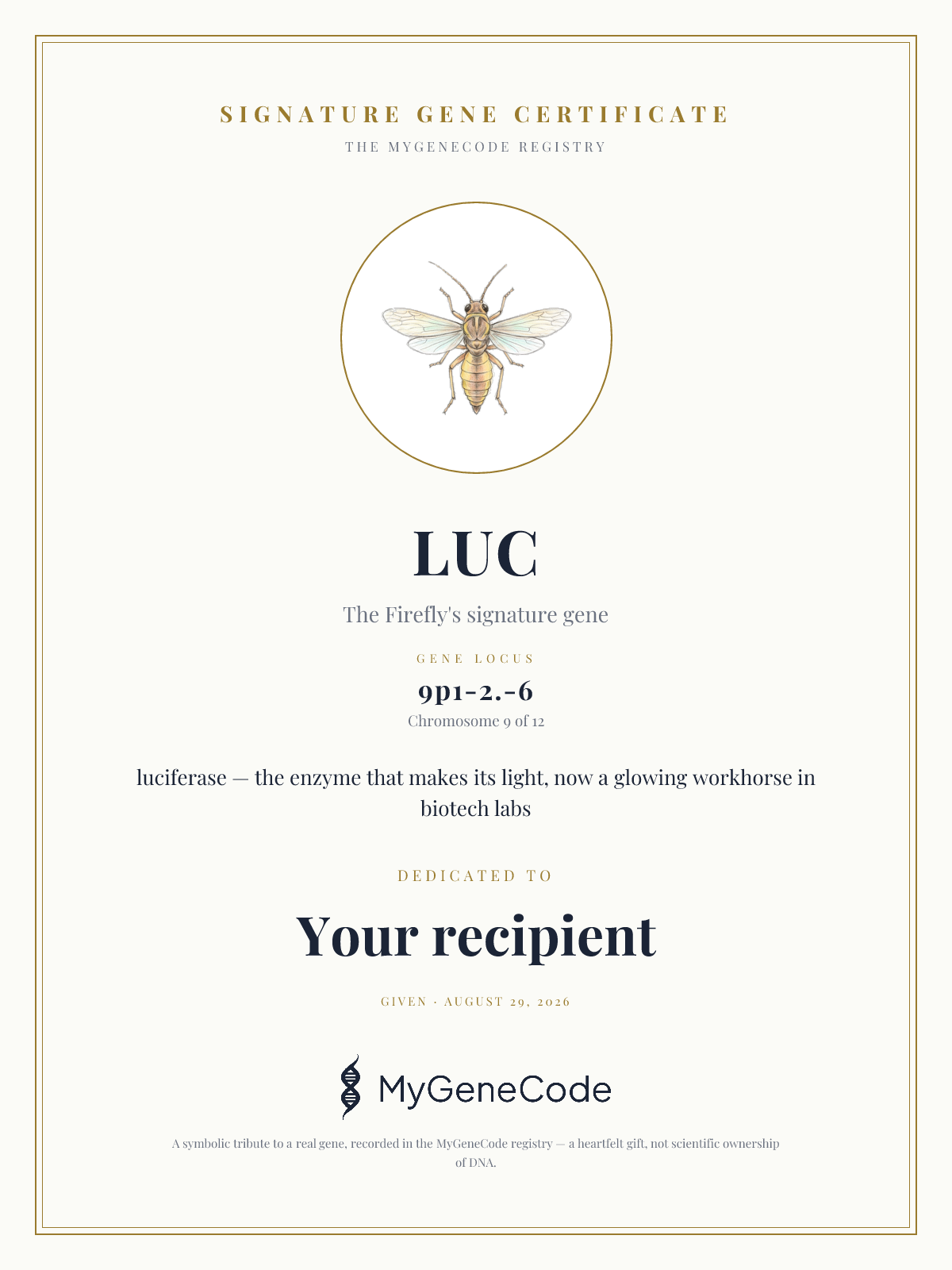 LUC gift certificate preview