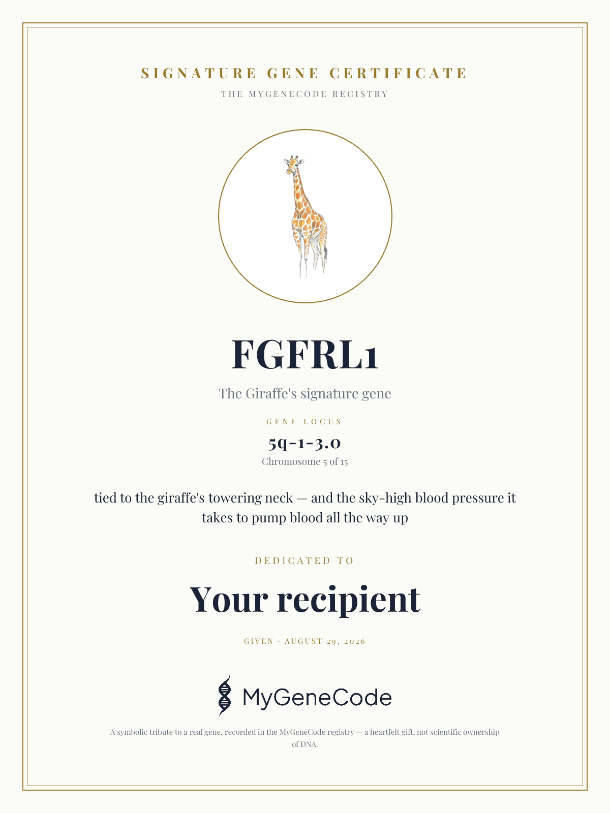 FGFRL1 gift certificate preview