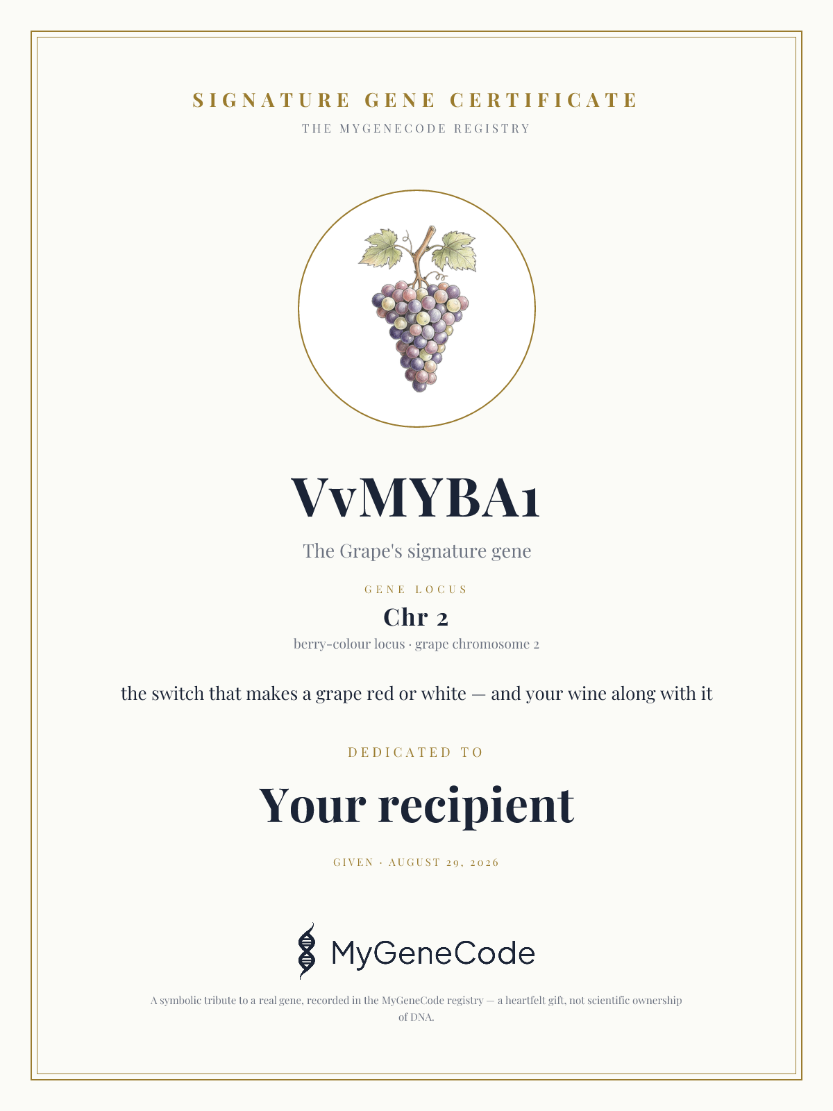 VvMYBA1 gift certificate preview