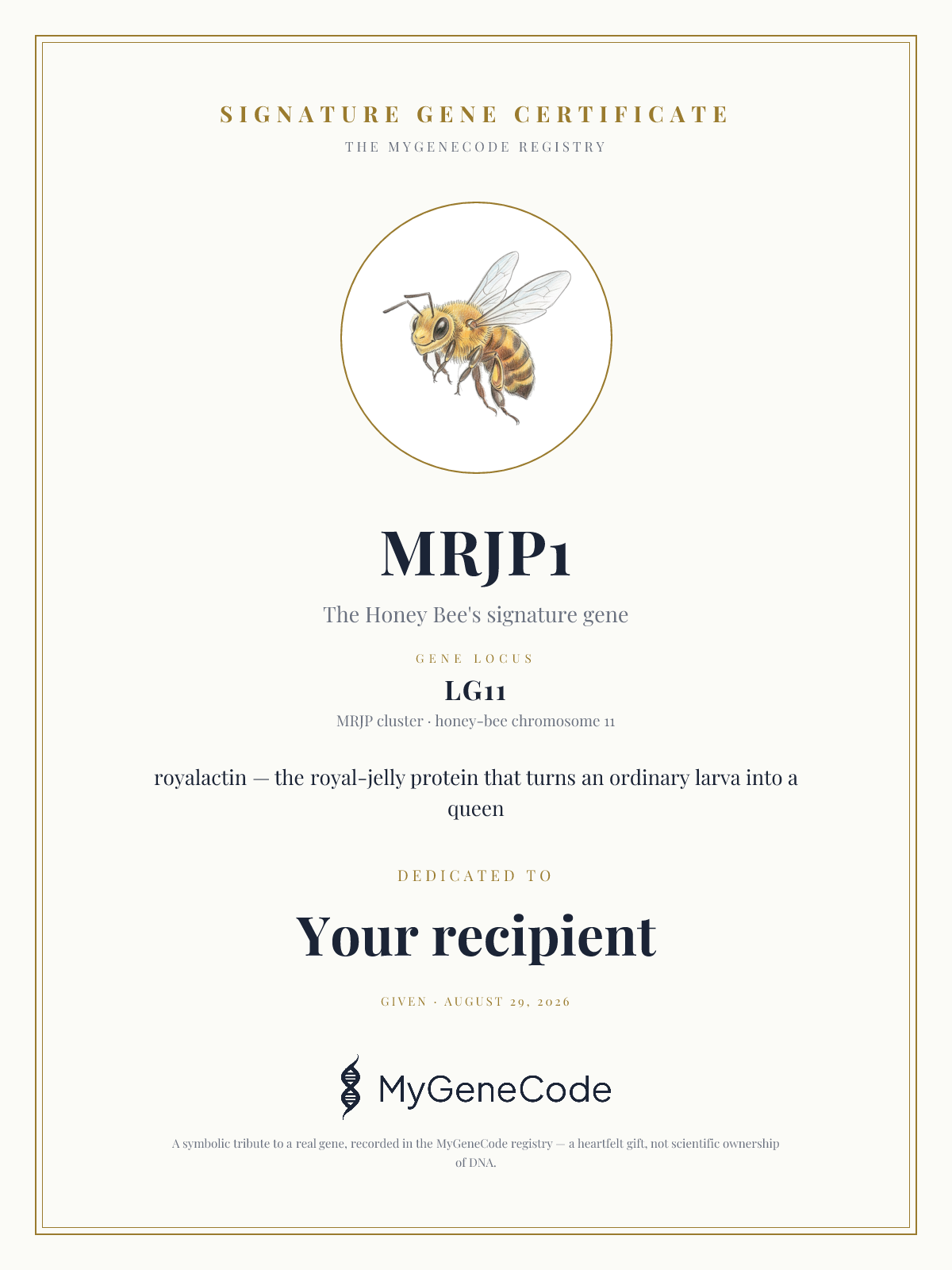 MRJP1 gift certificate preview