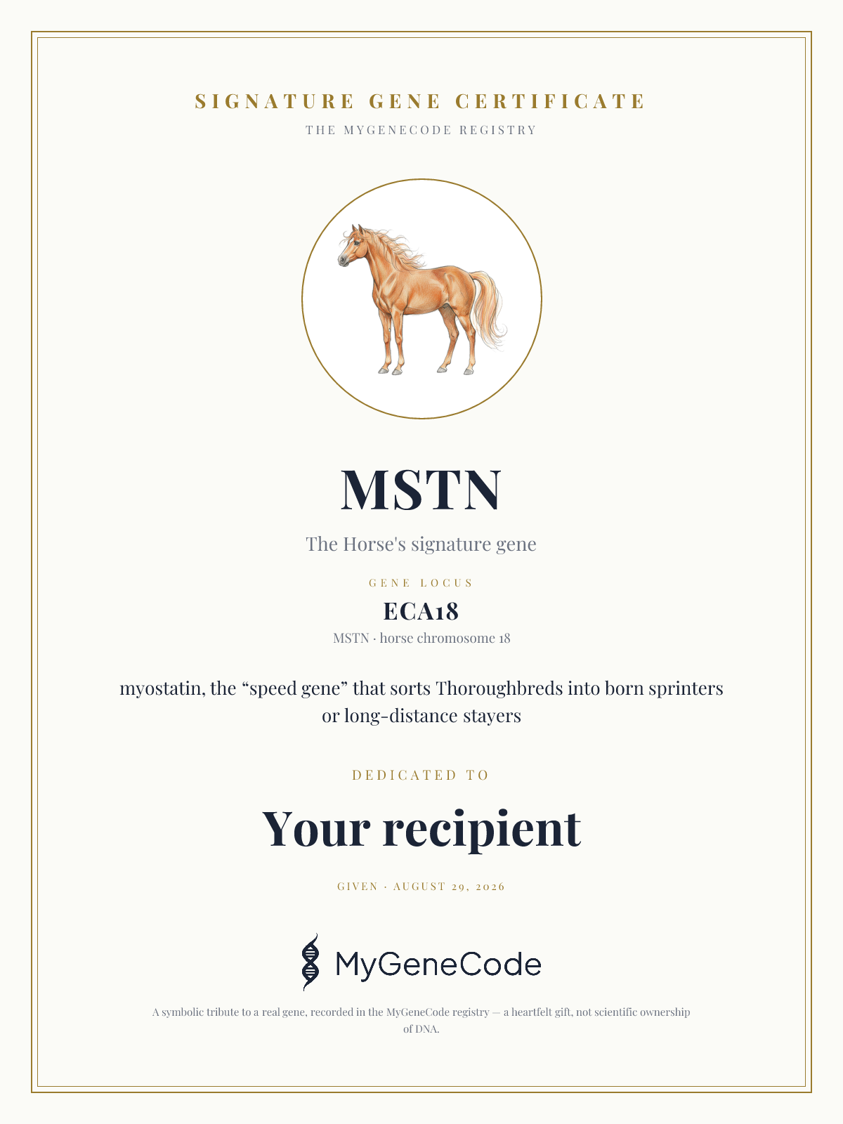 MSTN gift certificate preview