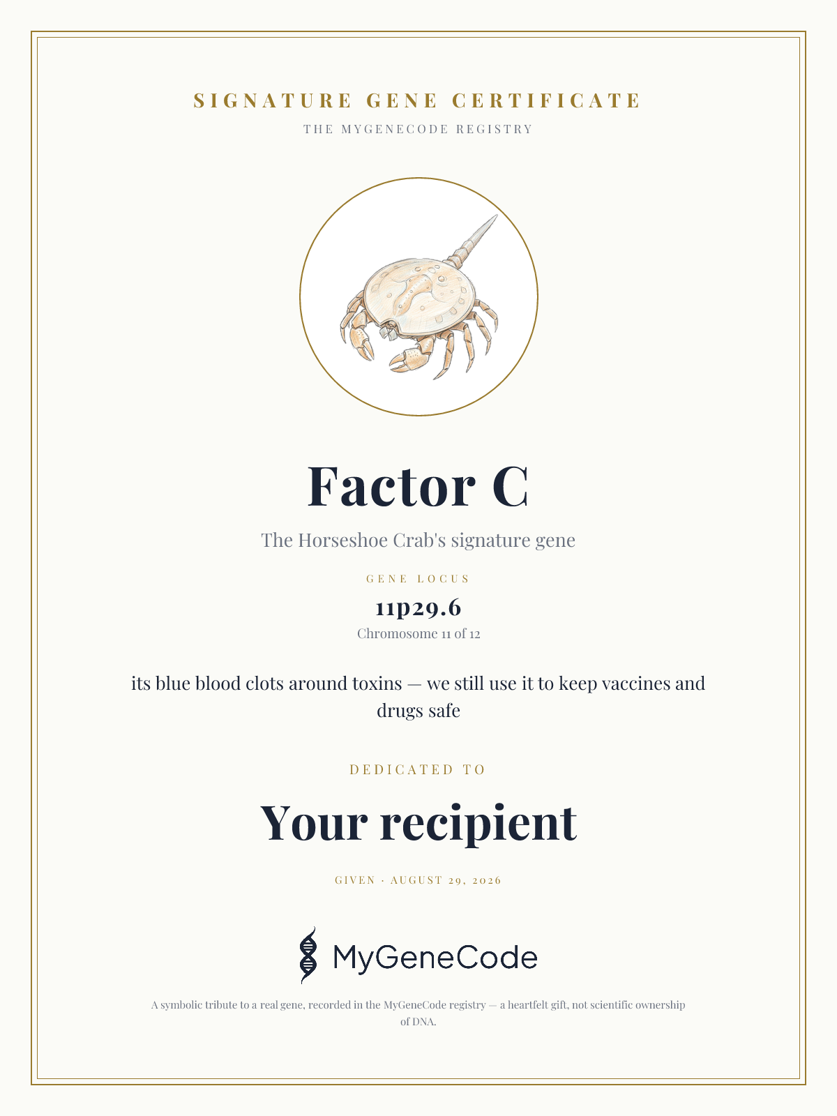 Factor C gift certificate preview