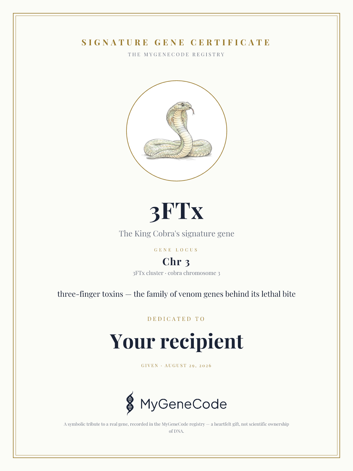 3FTx gift certificate preview