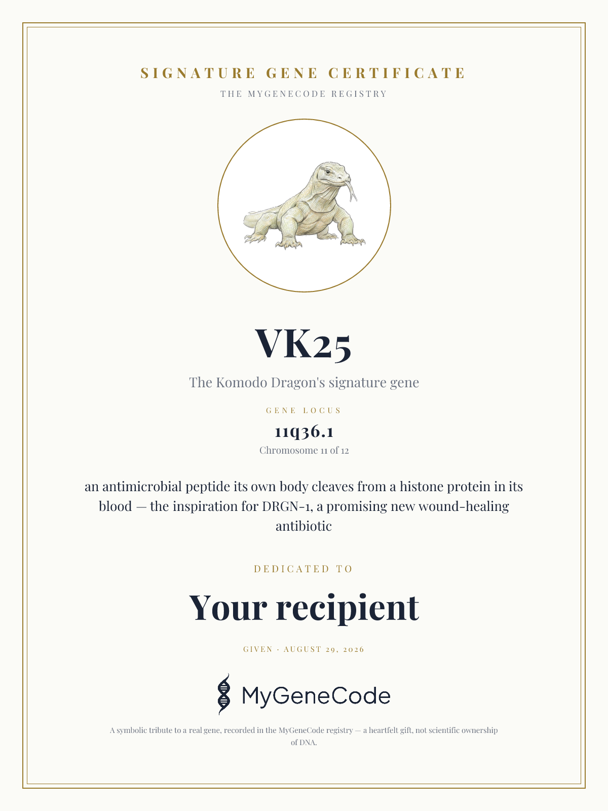 VK25 gift certificate preview