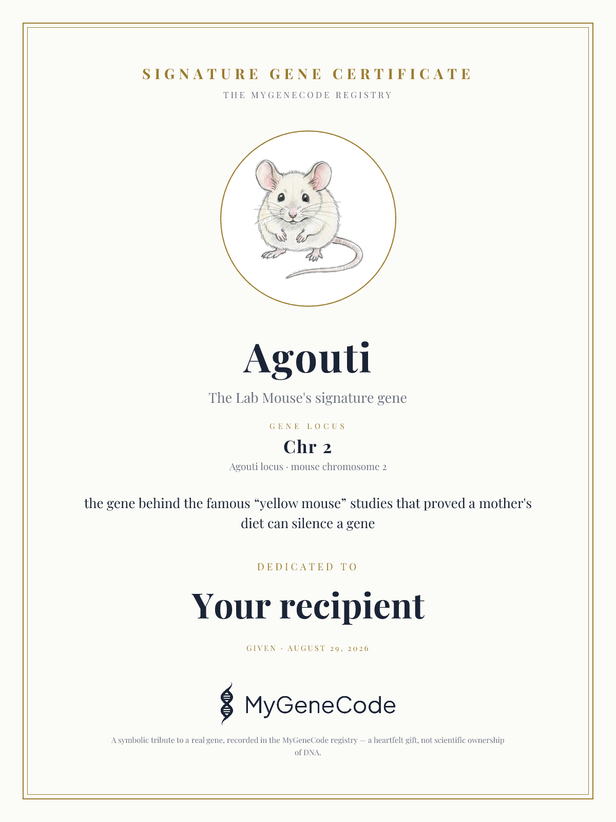 Agouti gift certificate preview