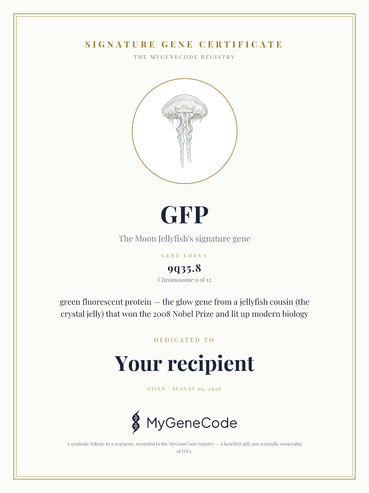 GFP gift certificate preview