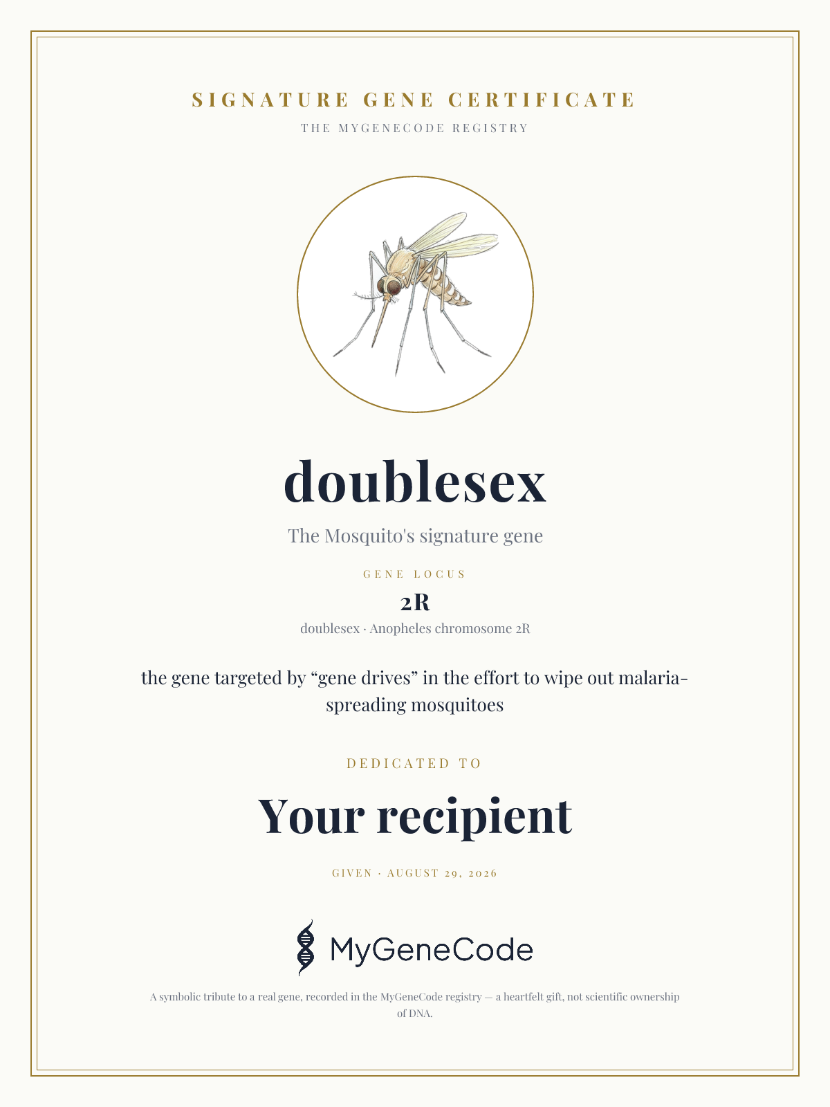 doublesex gift certificate preview