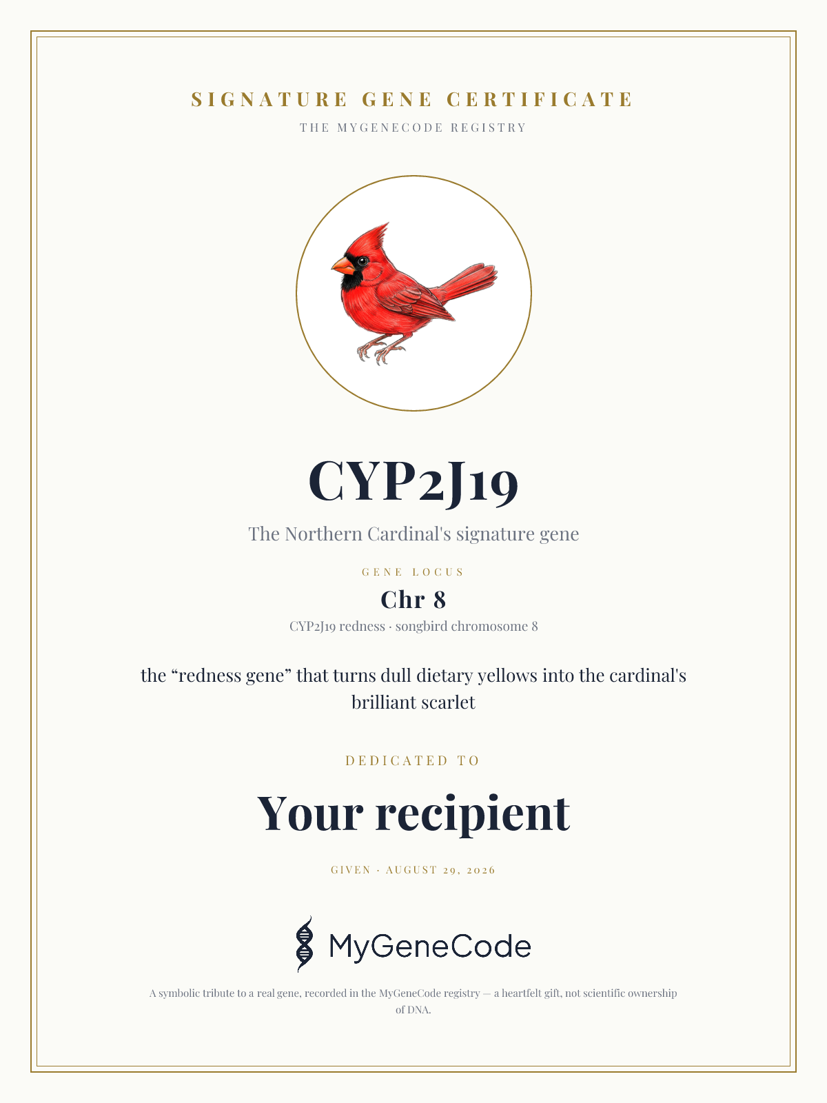 CYP2J19 gift certificate preview