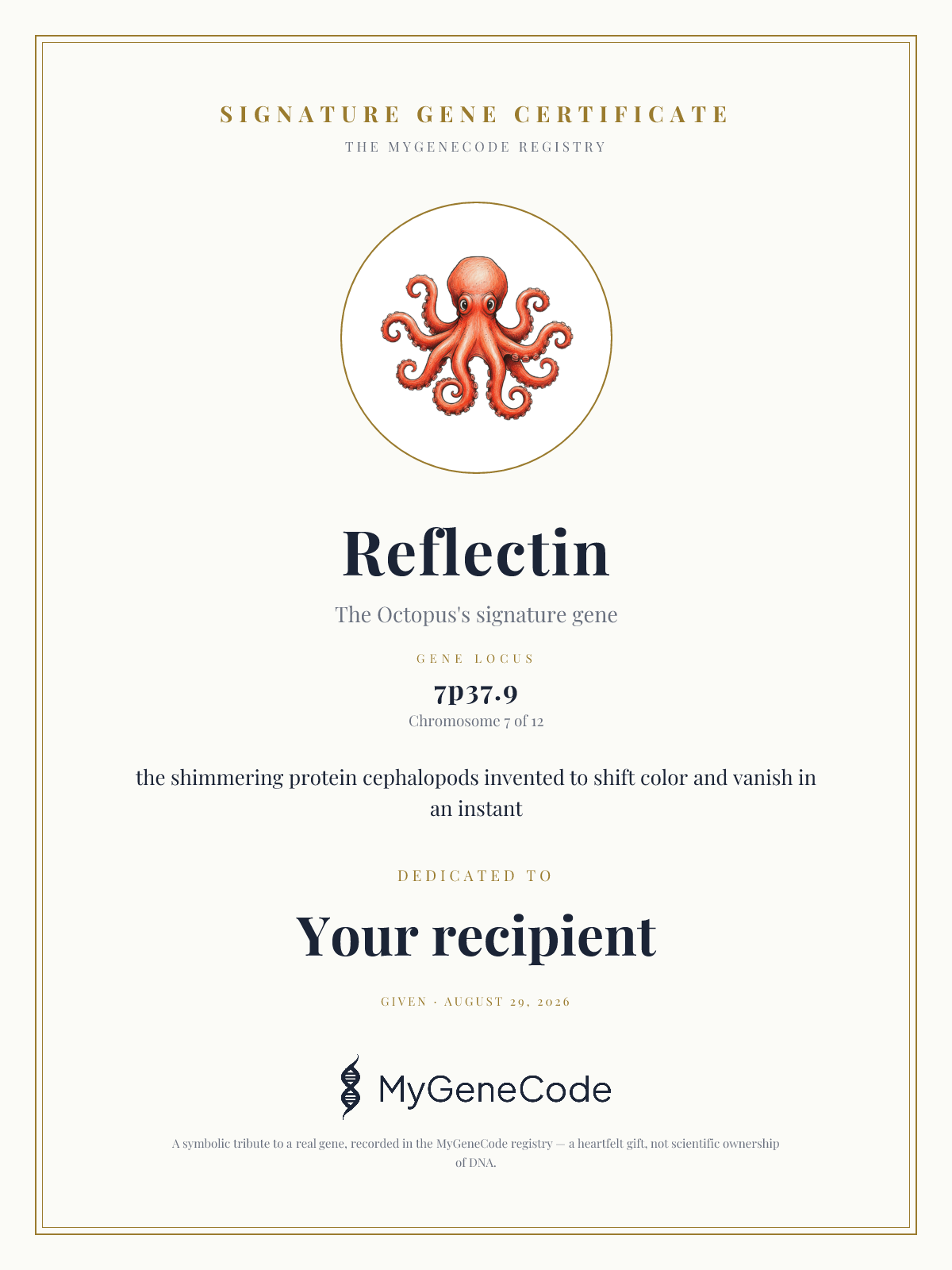 Reflectin gift certificate preview