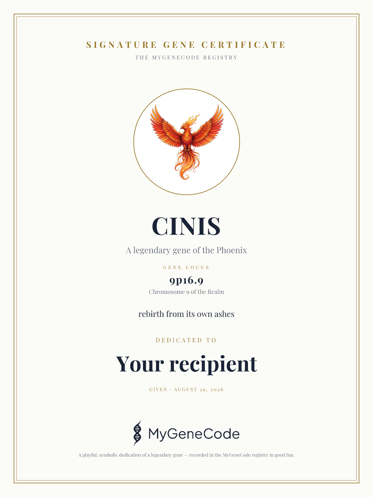 CINIS gift certificate preview