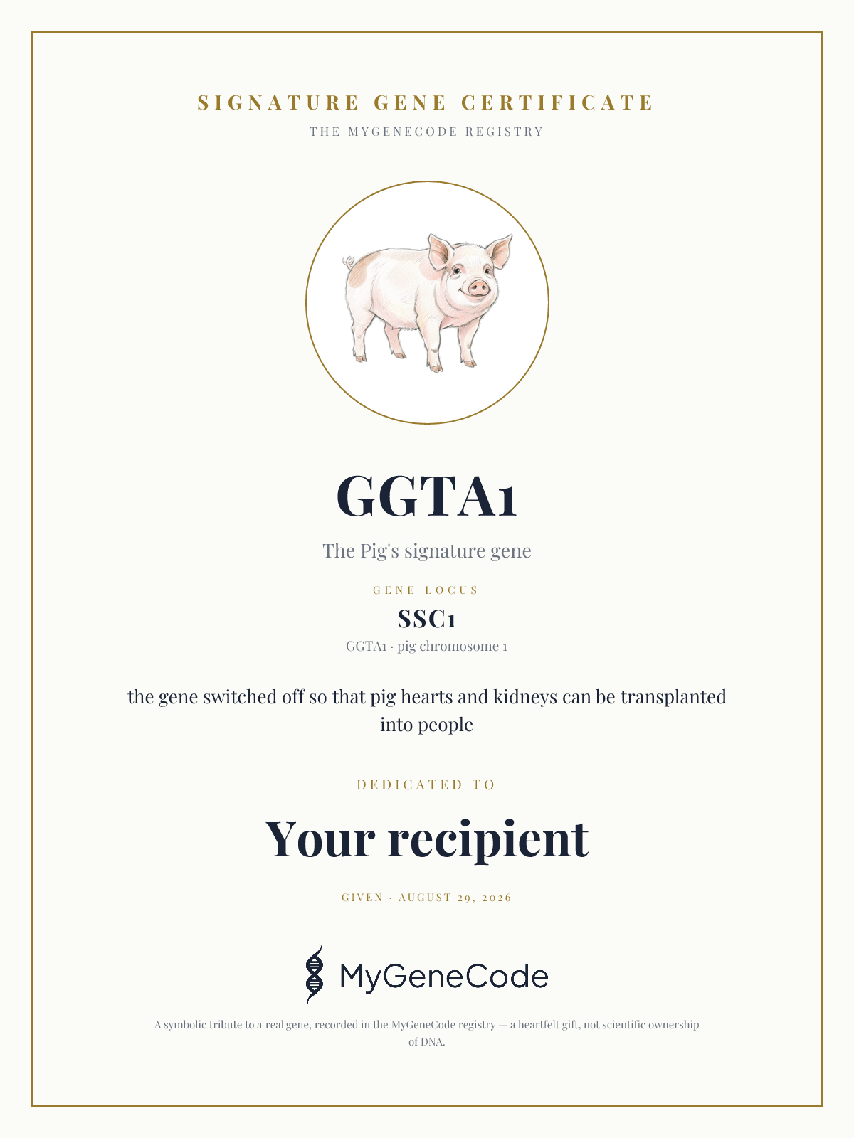 GGTA1 gift certificate preview