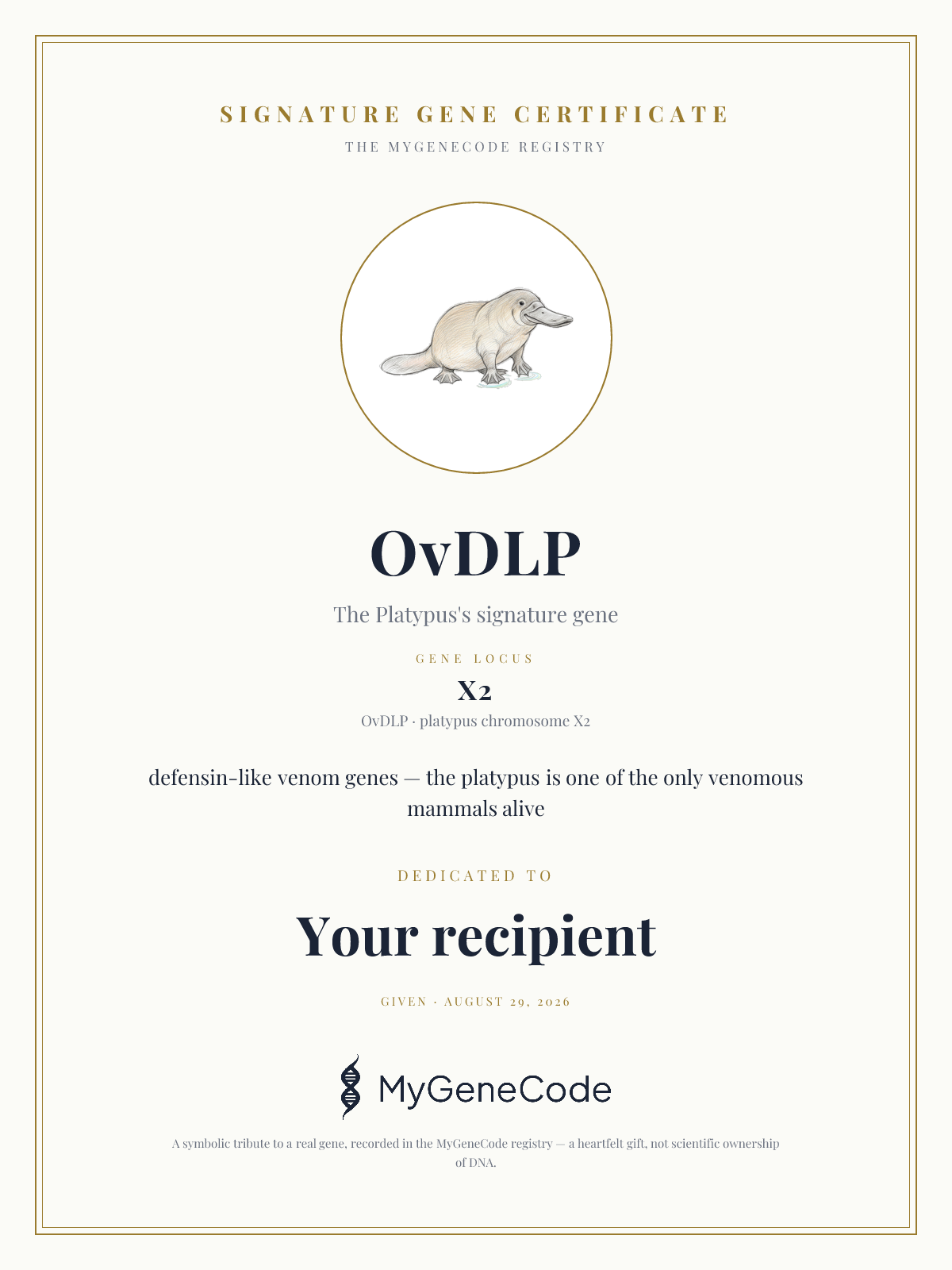 OvDLP gift certificate preview