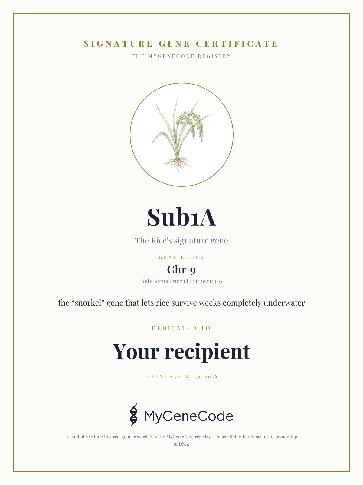 Sub1A gift certificate preview