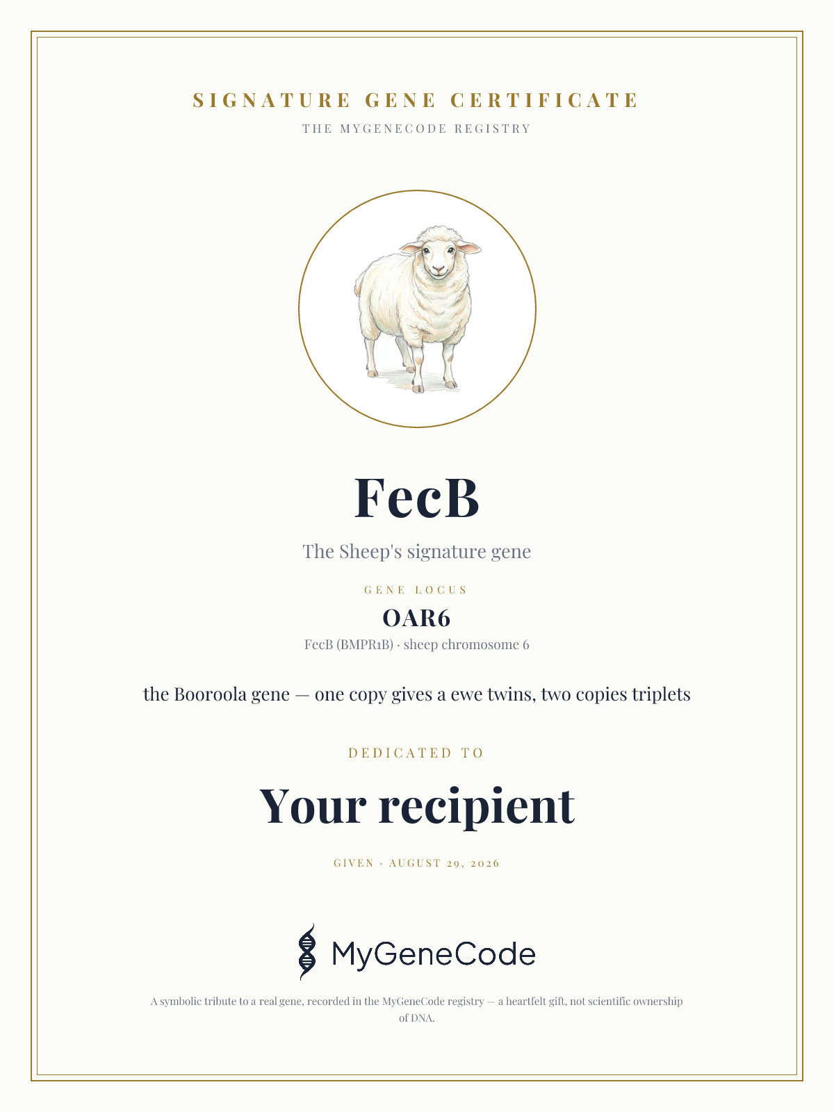 FecB gift certificate preview