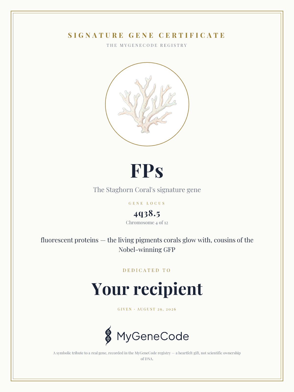 FPs gift certificate preview