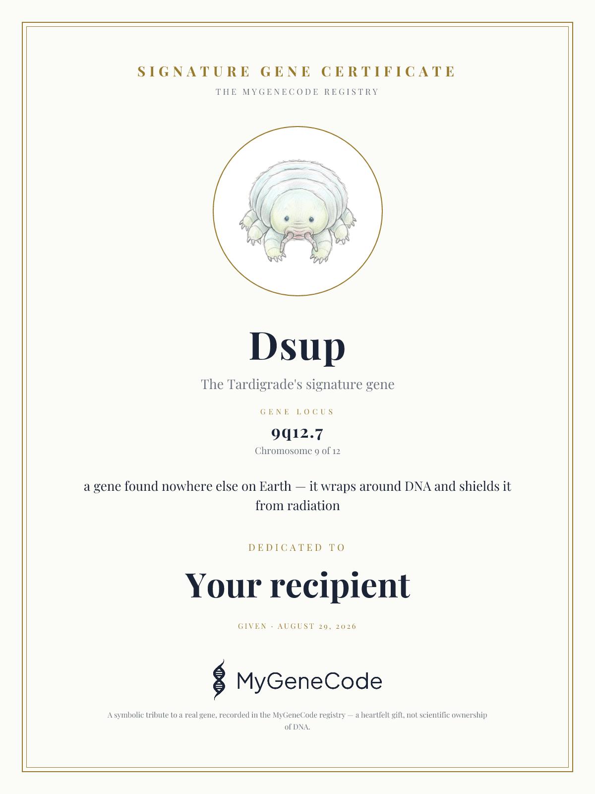 Dsup gift certificate preview